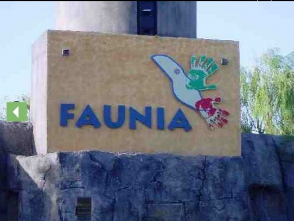 FAUNIA