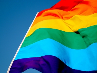 Conciertos Orgullo Gay de Madrid 